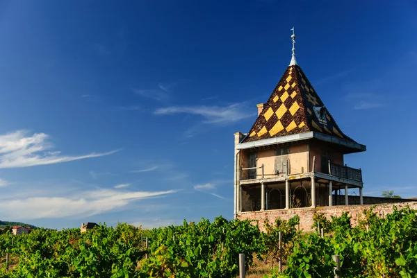Vigneto e magnifico Chateau Portier costruito nello stile architettonico della Borgogna nella regione Beaujolais, Francia Immagini Stock Royalty Free
