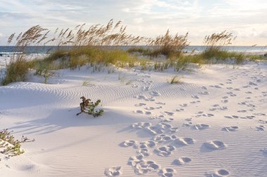 dunes ayak izleri