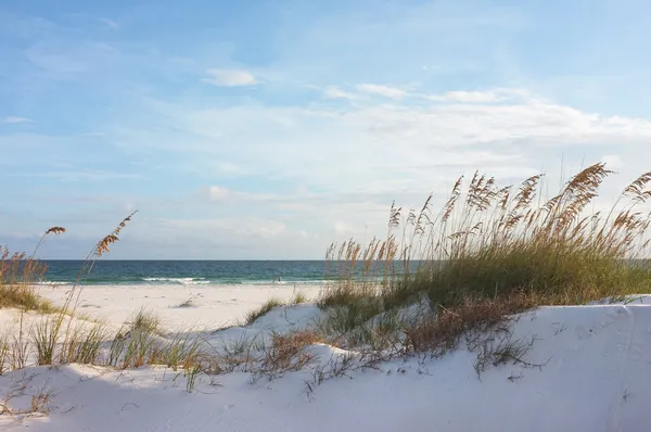 Hermosa playa y dunas al atardecer — Foto de Stock