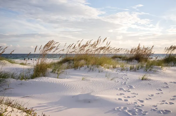 Voetafdrukken in de duinen van het strand bij zonsondergang — Stockfoto