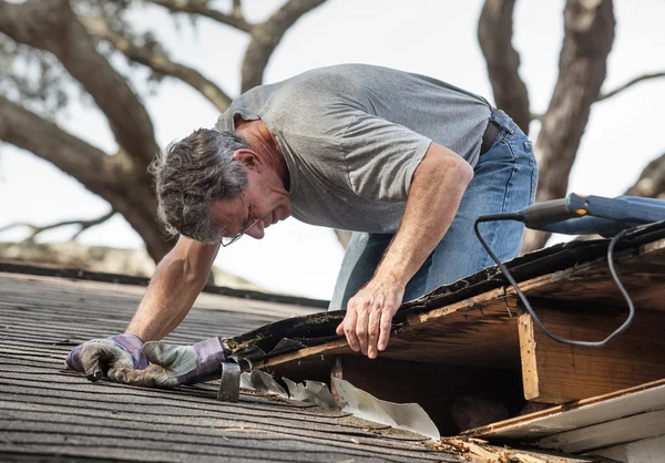 Человек осматривает и ремонтирует крышу протекающего дома — стоковое фото