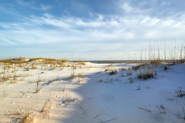 Voetafdrukken in de duinen in de schemering — Stockfoto