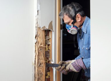 Man removing termite damaged wood from wall clipart