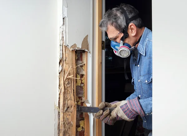 Homem removendo a madeira danificada térmita da parede — Fotografia de Stock