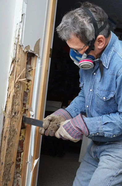 Homme enlevant le bois endommagé par termite du mur — Photo