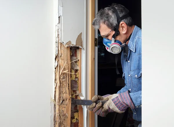 Чоловік видаляє термін пошкоджена деревина зі стіни — стокове фото