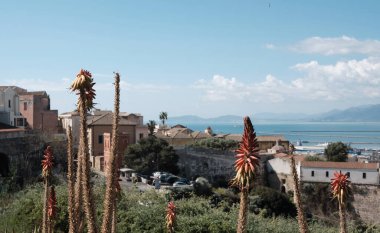 Akdeniz ağaçları ve Sardunya 'nın bitkileriyle Cagliari' nin panoramik hava manzarası