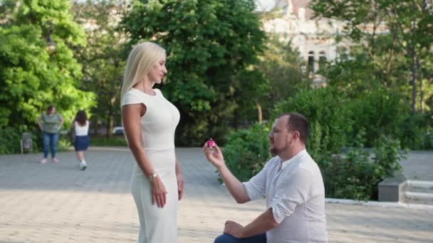 Romántico hombre propone con anillo en las manos, mientras que de pie sobre la rodilla de la mujer amada en el parque — Vídeos de Stock