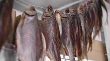 Deniz ürünleri, lezzetli tuzlu balıklar bir ambardaki rafların arkasında bir iple kurutulmuş.