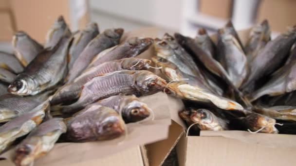 Рыбалка, сушеная морская рыба в картонных коробках на полках на складе, крупный план — стоковое видео