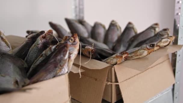 Indústria de peixe, caixas de deliciosos peixes salgados nas prateleiras do armazém, close-up — Vídeo de Stock