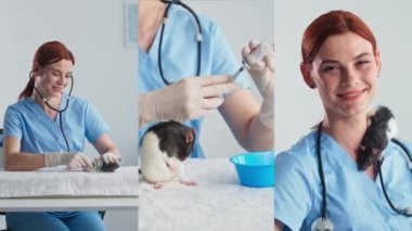 Evcil hayvanlara bakıyor, gülümseyen kadın veteriner fareyi fonendoskopla inceliyor, aşılıyor, gülümsüyor ve kameraya boynunda bir fare, kolajla bakıyor.
