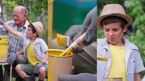 Multiscreen, schattige schattige mannelijke kind helpt zijn geliefde grootvader schilderen een oude bijenkorf met penseel met gele verf borstel tijdens de zomervakantie in het dorp — Stockvideo
