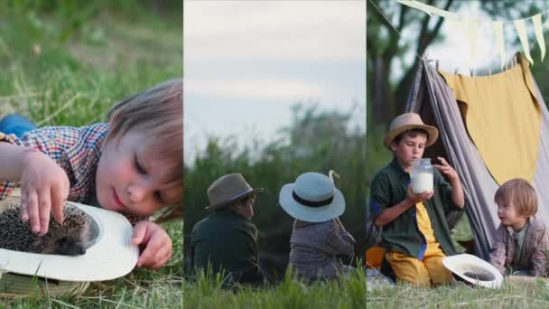 Summer vacation, little cute male children resting outdoors, playing with hedgehog and fishing during countryside vacation, collage — Stock Video