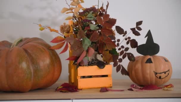 Halloween, autumn pumpkins with painted muzzle and decorated hat stands on dresser to decorate room for festive party — 图库视频影像