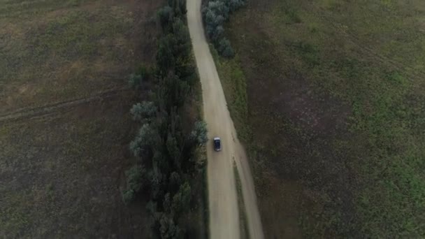 Aerial, vehicle drives off-road among trees and bushes between mowed field in evening — Video Stock