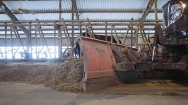 süt ve et endüstrisi, modern çiftlikte ineklerin beslenme süreci, çiftlik ambarında traktör kullanımı