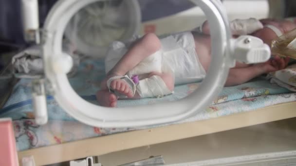 Child health, small newborn child lies in pressure chamber connected to an artificial respiration apparatus after an operation in medical office — Wideo stockowe