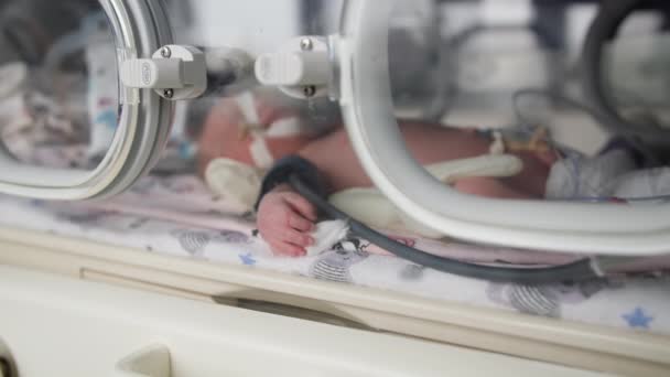 Operations of newborn, little baby lies in modern life-preserving cell connected to the operating system in medical ward, close-up — Stock Video