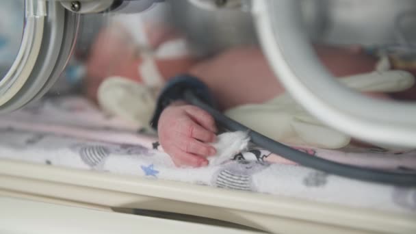 Equipo médico moderno, bebé recién nacido pequeño conectado al sistema de soporte vital en la cámara para apoyar el cuerpo en la sala médica, primer plano — Vídeos de Stock