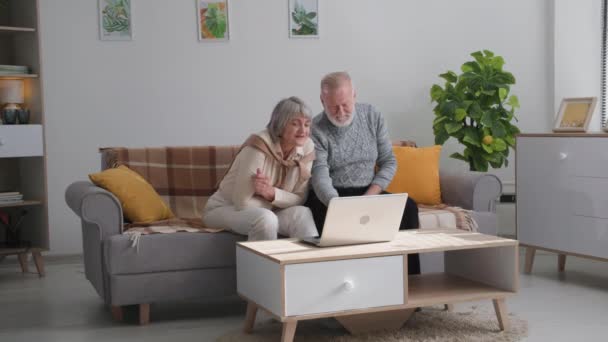 Dizüstü bilgisayarla konuşan mutlu yaşlı çift koltukta oturuyor, neşeli olgun aile sohbetinin tadını çıkarıyor. — Stok video