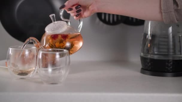 Warme dranken, jonge vrouw schenkt hete natuurlijke kruidenthee in transparante glazen voor ontbijt of snack in de keuken — Stockvideo