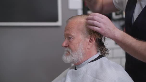 Profesyonel bir erkek kuaför berber dükkanında saç kesim koltuğunda oturan yaşlı ve çekici bir adamın saçını tarıyor. — Stok video