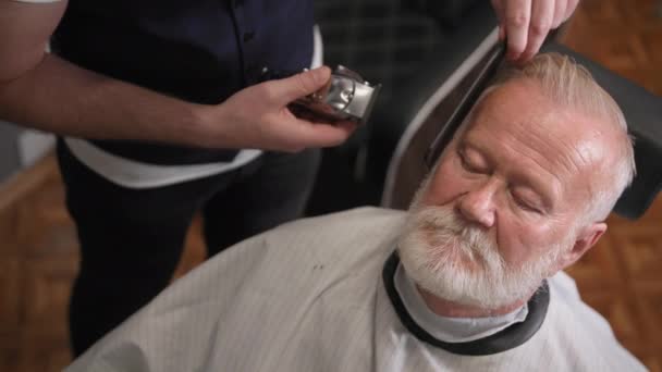 Maestro de pelo masculino profesional hace un corte de pelo y peinado de la barba con un trimmer y peine a un cliente de edad avanzada en una barbería moderna — Vídeos de Stock