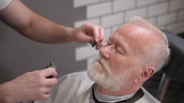 Professional modern mens haircutter makes haircuts and styling of mustaches and haircuts to a stylish old client in the salon — Stock Video