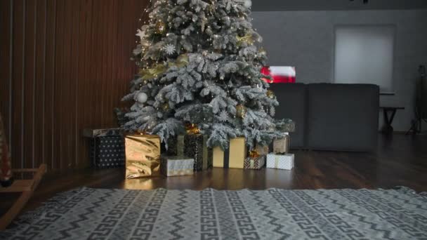 新年の雰囲気は、冬の休日のお祝いのための居心地の良い家で人工的に装飾されたクリスマスツリーの近くに包まれたギフトボックスが立つ — ストック動画