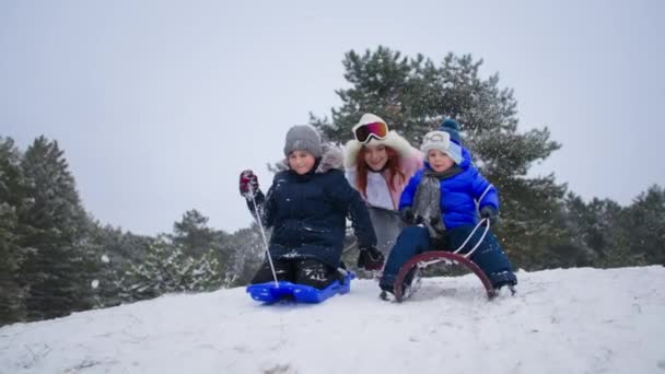 Vacanze invernali attive, madre con bambini divertirsi slittino giù per la collina nella foresta, giovane donna battendo le mani — Video Stock