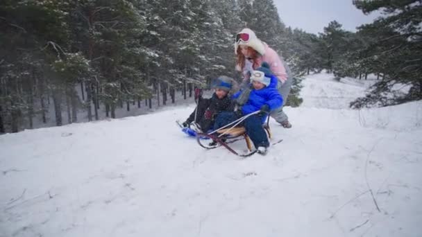 Rodzina w zimowym lesie, matka z uśmiechniętymi dziećmi podczas aktywnego wypoczynku korzysta z sań i śniegu — Wideo stockowe