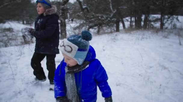 Enfants avec maman jettent des boules de neige les uns aux autres pendant les vacances d'hiver, la famille passe activement du temps dans la forêt enneigée — Video