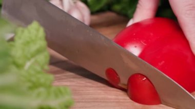 Video blogları, blog çeken genç kızlar ve sosyal medya içeriği evde, çocuk hobisi