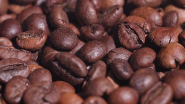 Processo de seleção e torrefação de grãos de café antes de moer, close-up — Vídeo de Stock