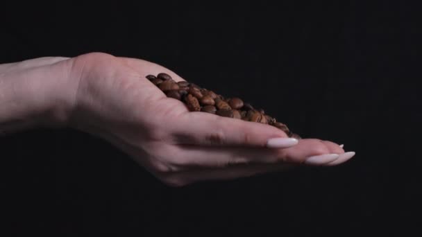 Colheita de café, uma jovem mulher segura grãos de café recém-assados em suas mãos e derrama para fora de baixo em um fundo preto — Vídeo de Stock
