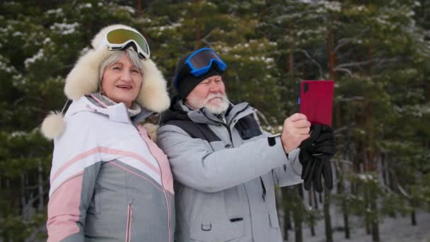 暖かい服を着た現役の年金受給者は冬の晴れた日に森の緑の木のスマートフォンを背景に自撮り — ストック動画