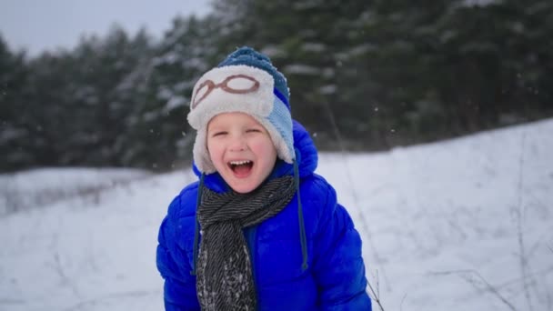 Portret radosnego chłopca w kapeluszu i rękawiczkach śmieje się wesoło patrząc w tło kamery zimowego lasu i opadów śniegu podczas wakacji na świeżym powietrzu — Wideo stockowe