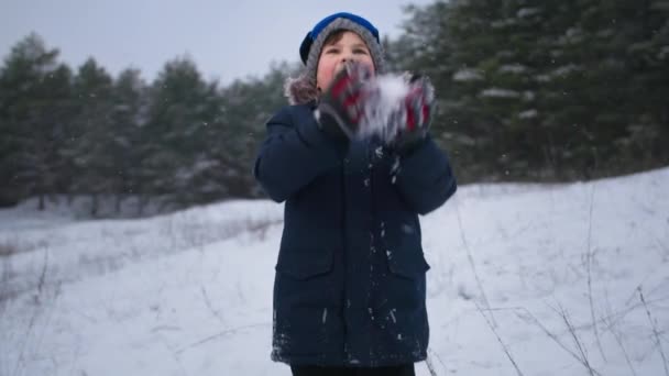 Портрет щасливого маленького хлопчика, який весело грає на сніжках стоїть на фоні дерев у засніженому лісі під час відпочинку на відкритому повітрі взимку — стокове відео