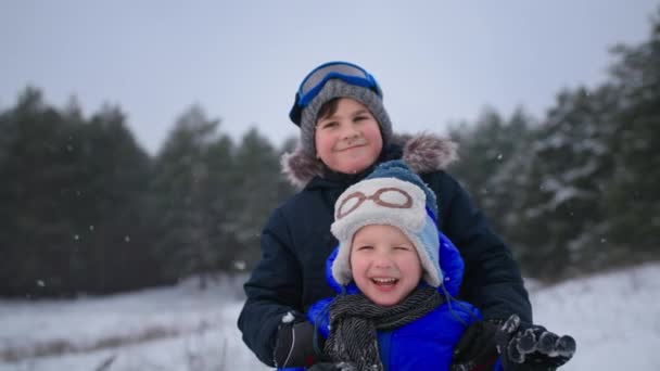 Portrait of adorable little boys in hats and gloves smiling and looking at the camera while relaxing in the winter forest during a snowfall — Wideo stockowe