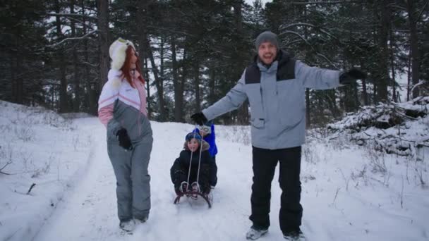 Feriados ativos, marido feliz e esposa se divertir em conjunto com seus filhos trenó na floresta nevada — Vídeo de Stock