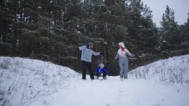 Venkovní aktivity, veselí rodiče s malými roztomilými chlapci bavit mimo město sáňkování a hraní sněhové koule v zimě v lese mezi sněhem — Stock video