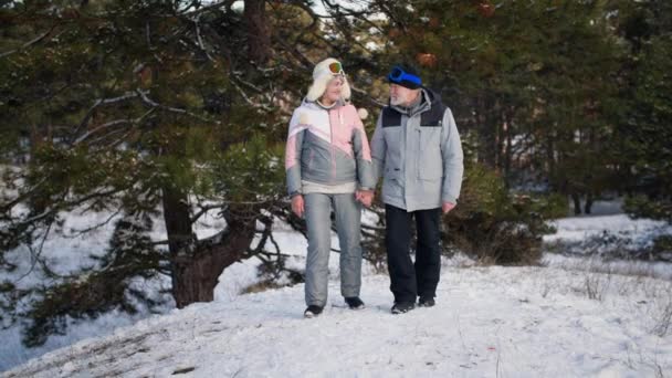 Förhållande mellan äldre par, glad kärleksfull gammal fru och make hålla varandra i händerna medan promenader på vintern i skogen bland snö och gröna träd — Stockvideo