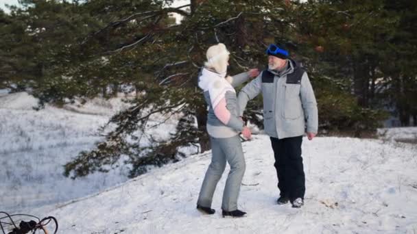 Tidsfördriv i pension, bedårande äldre par njuter av en vinterpromenad genom en snöig skog på en solig dag bakgrund av träd — Stockvideo