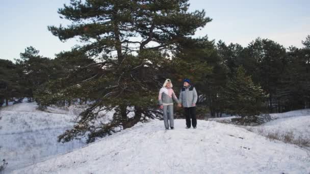 Glada manliga och kvinnliga pensionärer i varma kostymer, hattar och glasögon njuter av en promenad i vinterskogen i snöigt väder — Stockvideo