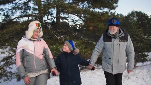 Weekend attivo, nonni premurosi che si tengono per mano il nipote mentre camminano nella foresta invernale tra neve e alberi — Video Stock