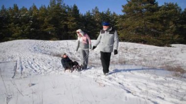 Eğlenceli bir hafta sonu, neşeli büyükbabalar torunlarıyla güneşli bir havada karlı bir çayırda kızakla kayarken eğleniyorlar.