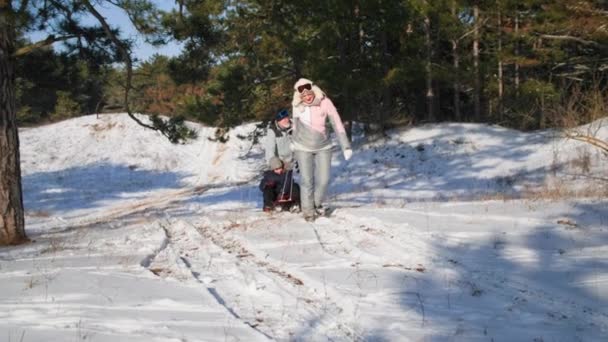 Active weekend, an elderly woman with her husband and grandson have fun sledding on snowy hill in forest in winter season — Stock Video