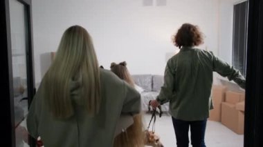 Aile yeni bir eve açılan kapıyı açar, çocuklu mutlu bir çift ve bir köpek taşınırken eşyalarını taşır, kutular küçük bir çocuğun üzerine düşer.