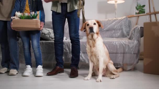 Labrador Cão Abana Cauda Enquanto Sentado Lado Seus Proprietários Retrato — Vídeo de Stock
